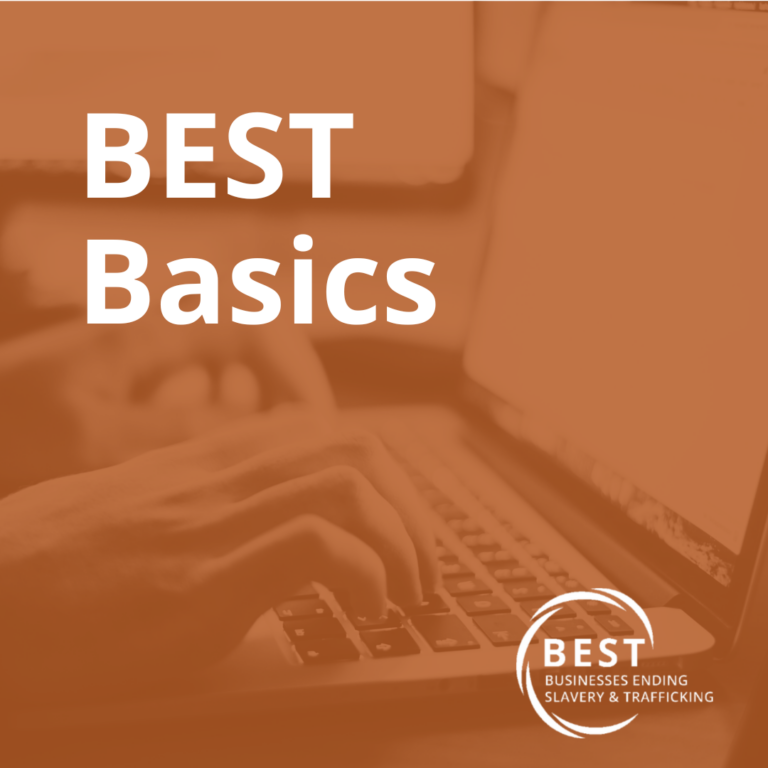 BEST Basics – Individual Course