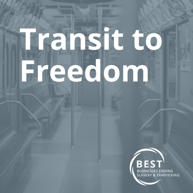 Transit to Freedom – Individual Course